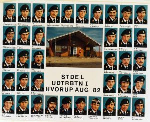1982 STDEL - UDTRBTN I HVORUP AUG 1982