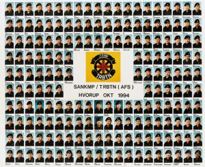 1994 SANKMP - TRBTN (AFS) HVORUP OKT 1994