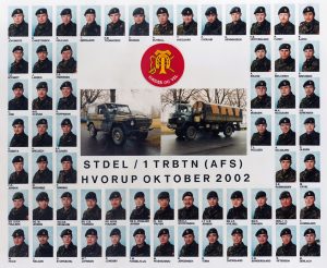 2002 STDEL - 1 TRBTN (AFS) HVORUP OKT 2002